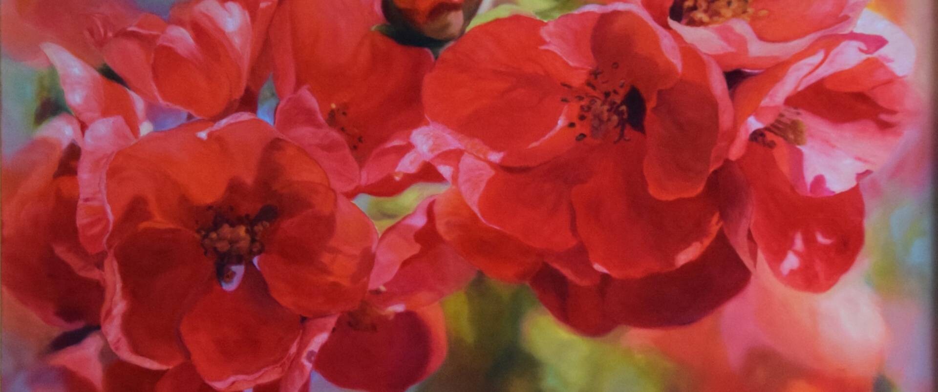 Spring 3, Silvia Habán