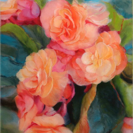 Silvia Habán - Begónie, olej na plátne, 50x40 cm