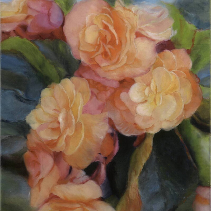 Silvia Habán - Begónie, Giclée tlač na plátno limitovaná edícia 